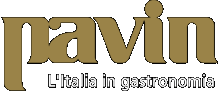 Logo pavin